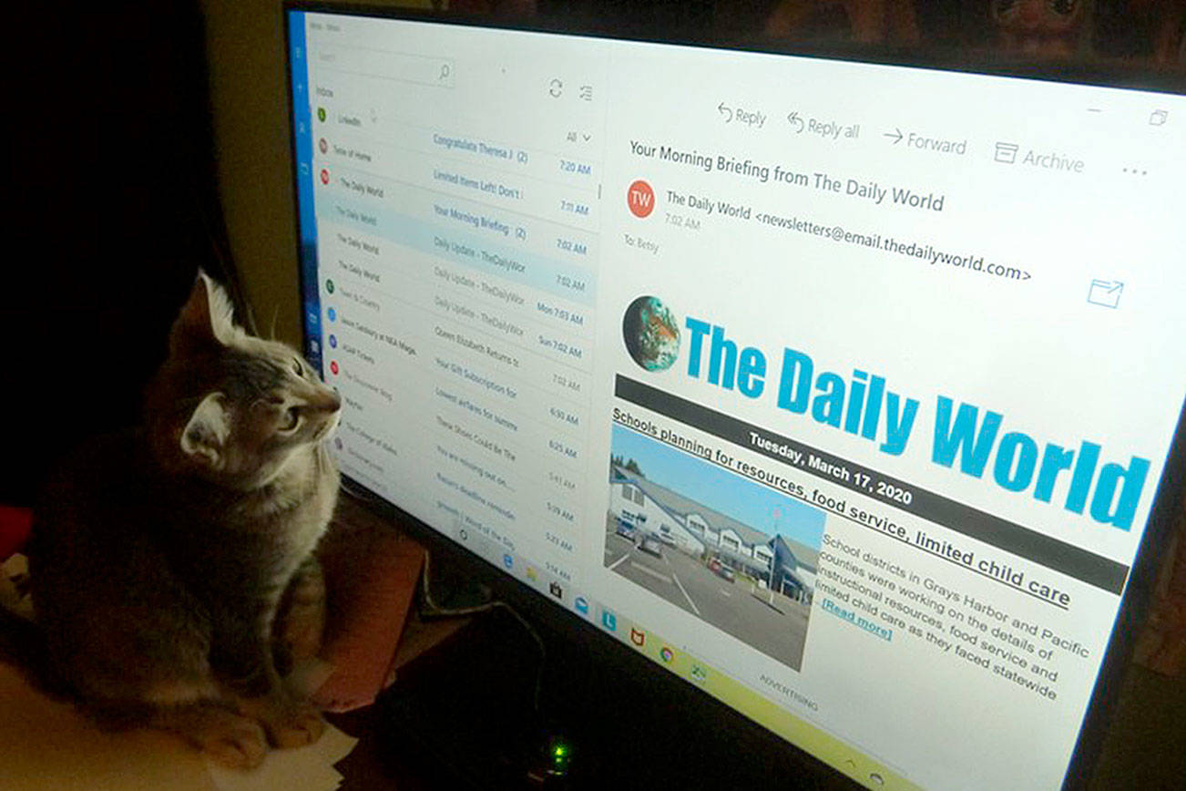 Your Stories: Finally time to work on that lemonade recipe