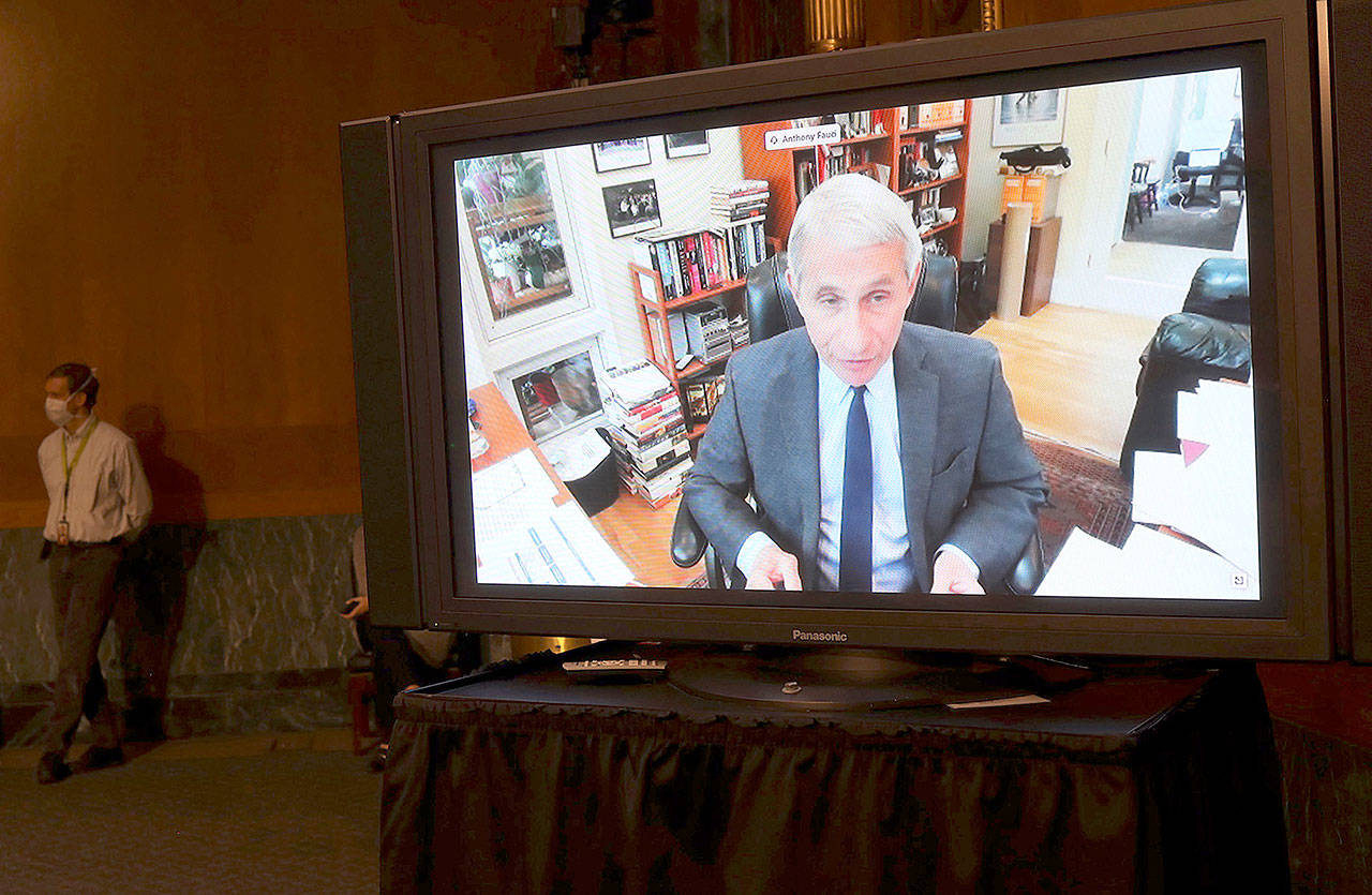 Dr. Anthony Fauci, director of the National Institute of Allergy and Infectious Diseases, speaks remotely during a Senate hearing Tuesday Washington, D.C. The committee is hearing testimony from members of the White House Coronavirus Task Force on how to safely open the country and get America back to work and school. (Win McNamee/Getty Images)