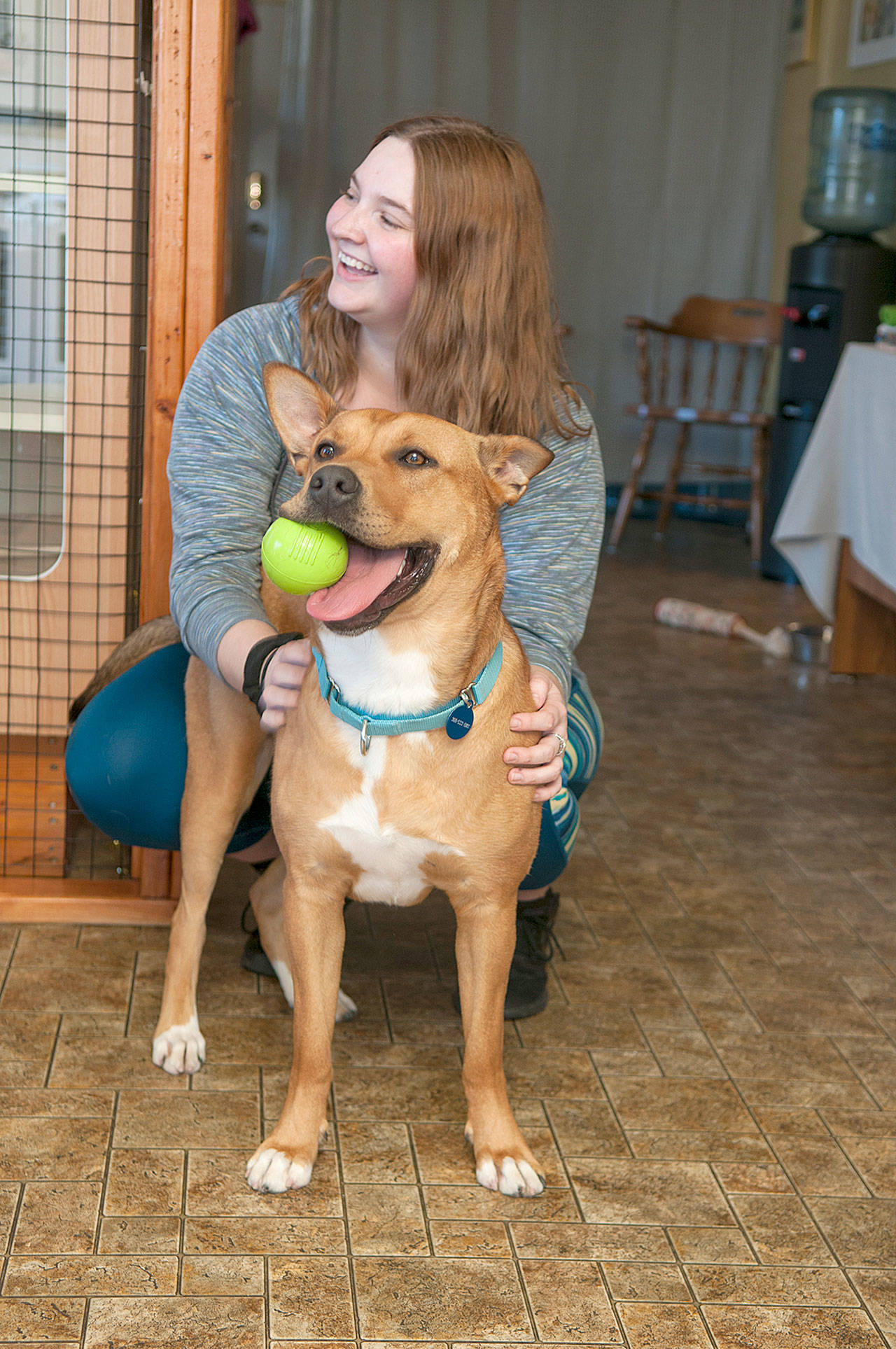 Marcy Merrill photos                                PAWS volunteer Karys Downes plays with Henesey, an energetic young shepherd mix.