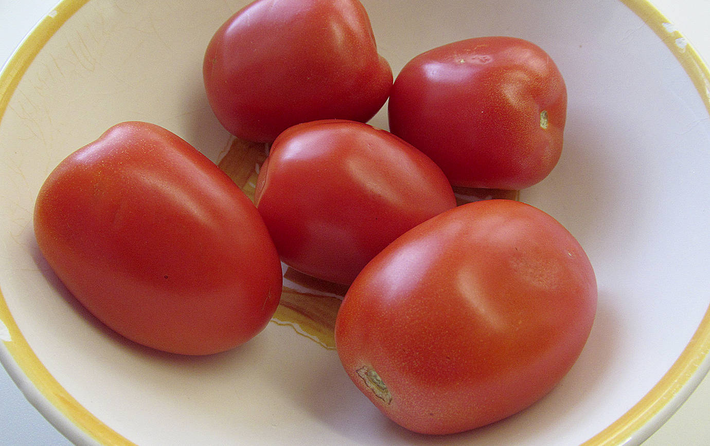 John Phelan photo                                Plum tomatoes can be grown as container plants. This meaty variety is generally used to make tomato sauce and paste.
