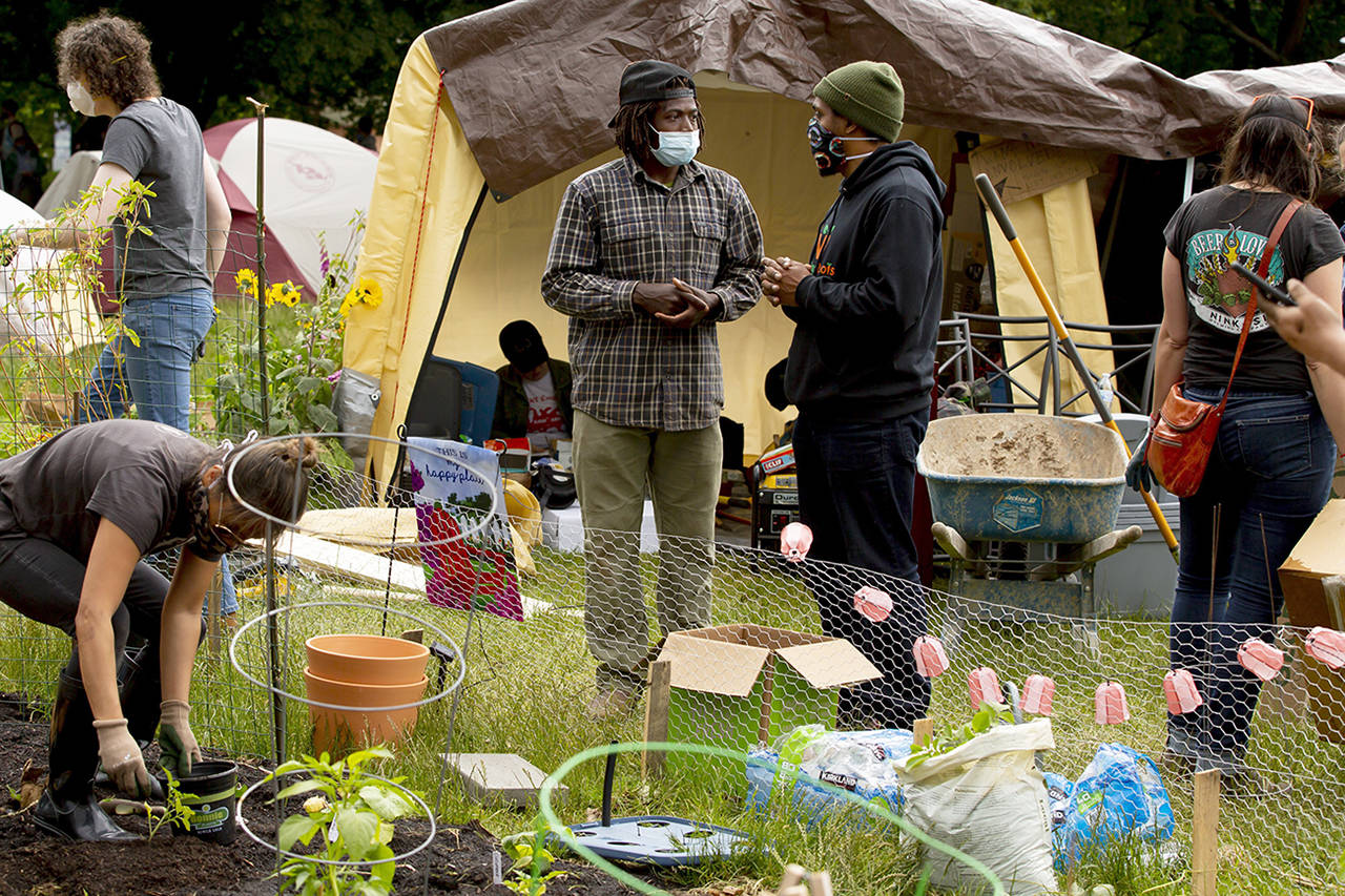 Erika Schultz | Seattle Times                                 Marcus Henderson, center left, talks with Adam Powers at the gardens at the Capitol Hill Autonomous Zone (CHAZ) in Seattle on Saturday. Henderson is organizing the large-scale gardening operations at Cal Anderson Park.