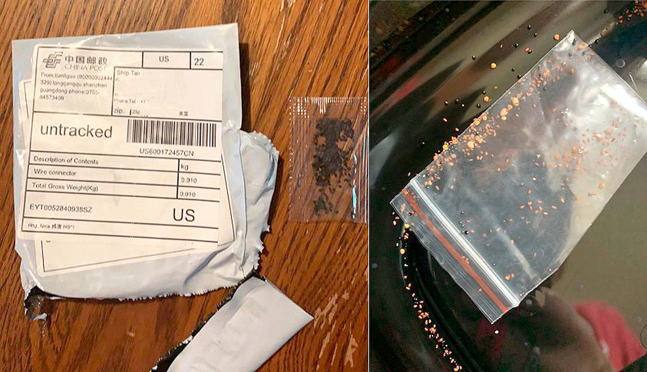 The Agriculture Department is looking into the origins of mysterious packages of seeds with Chinese mailing addresses delivered to recipients who say they never ordered them. (Kansas Department of Agriculture)