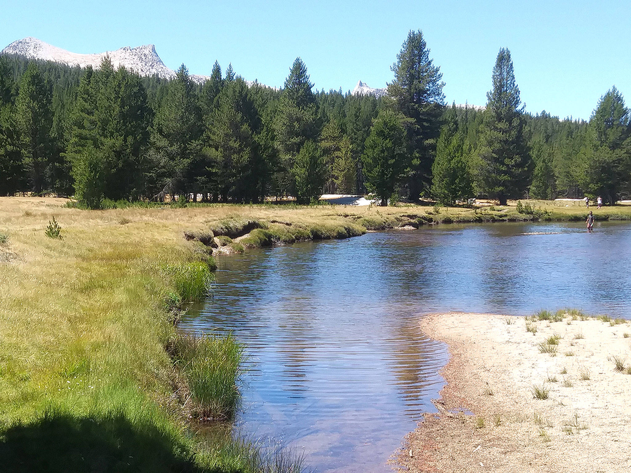 My picnic spot along the headwaters of the Tuolumne River in Yosemite National Park. At left is Unicorn Peak and at right, in the distance, is Cathedral Peak. Back in my youth, I sat atop both those granite spires on the same summer afternoon. (Photos by David Haerle/The Daily World)