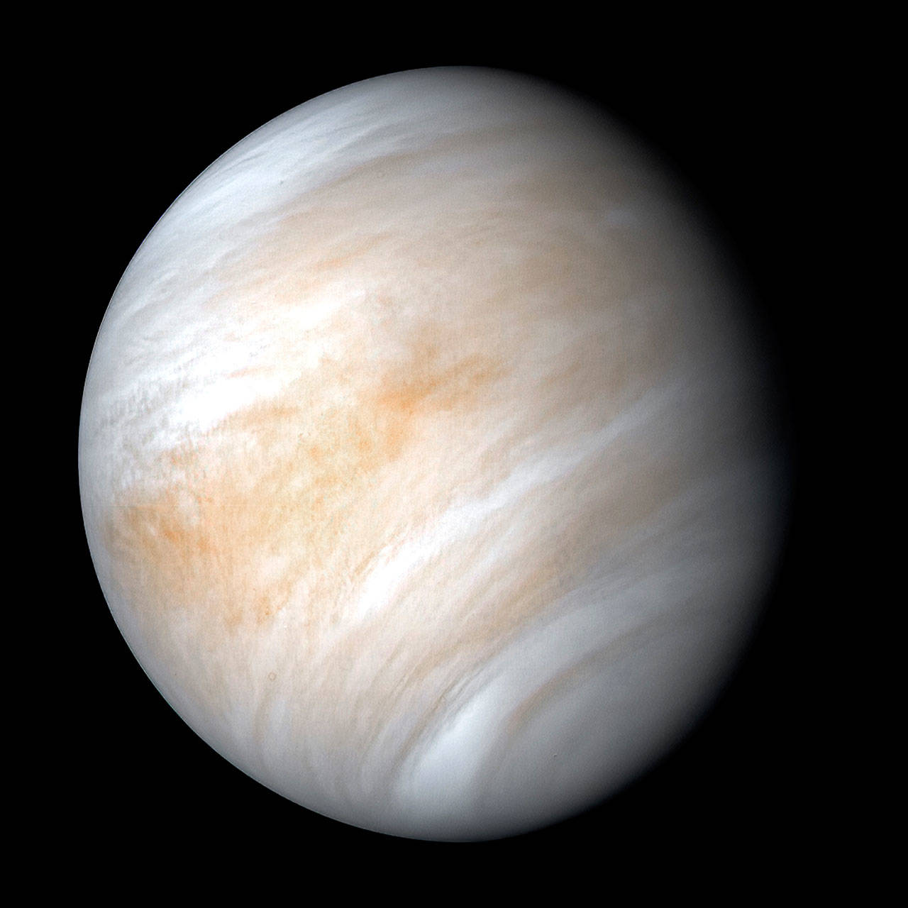 A false color composite of the planet Venus created by combining images taken using orange and ultraviolet spectral filters on the Mariner 10’s imaging camera. A group of scientists say they have found possible signs of extraterrestrial life in the thick, toxic clouds of Venus. (NASA/JPL-Caltech)