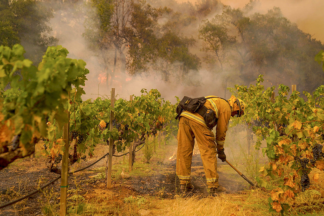 How wine country became the epicenter for fires in California