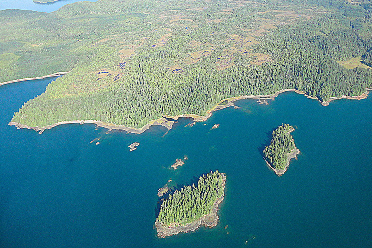 The U.S. Department of Interior has approved logging in Tongass National Forest, a portion of which is seen below, in Alaska (File Photo)