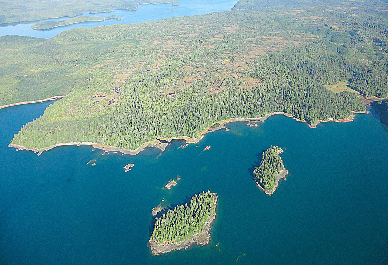 The U.S. Department of Interior has approved logging in Tongass National Forest, a portion of which is seen in this aerial photo from Alaska (File Photo)