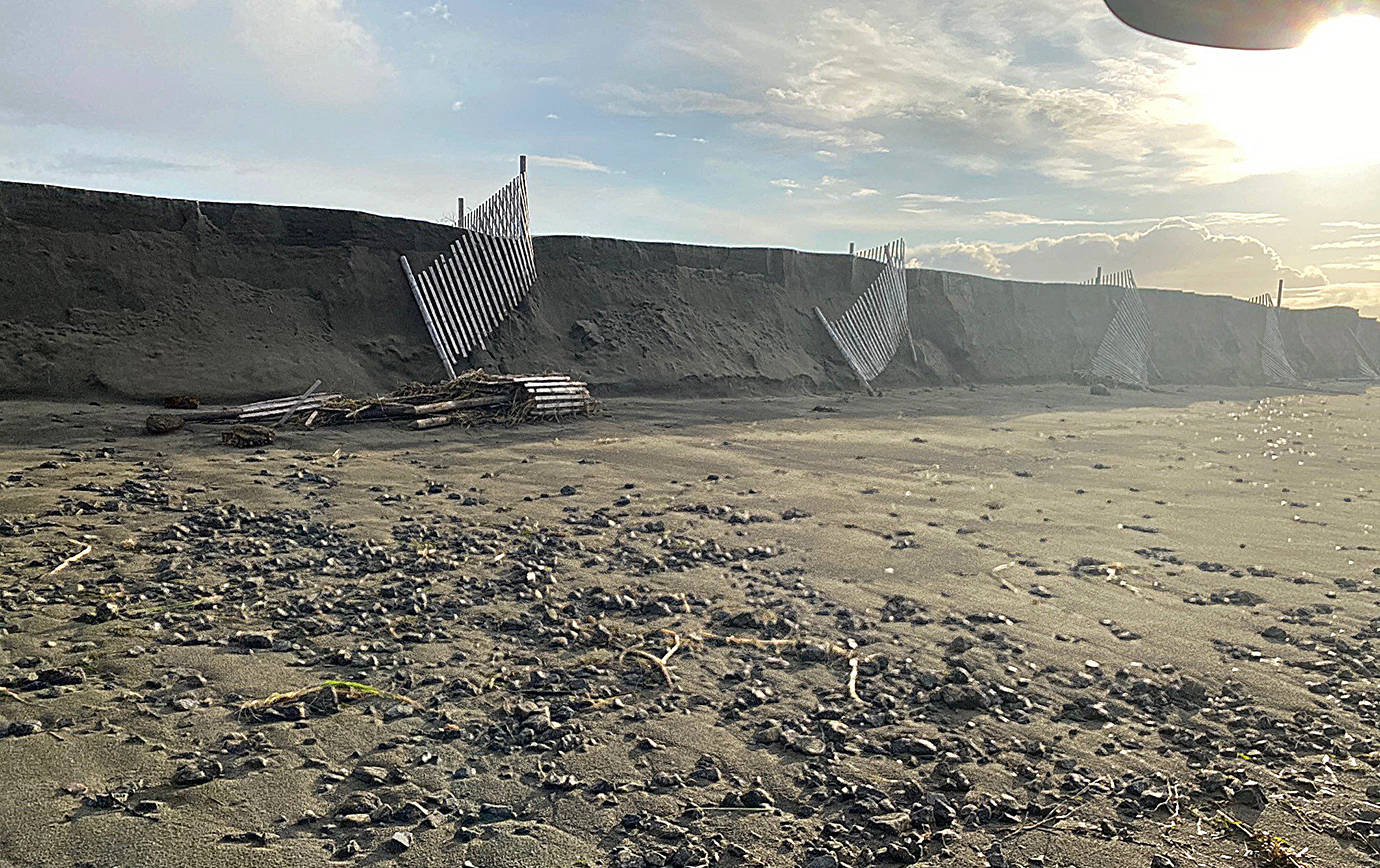 COURTESY SHOALWATER BAY INDIAN TRIBE 
Heavy surf damaged the northwest end of the Shoalwater berm, including ripping out sections of erosion fencing designed to hold the berm together.