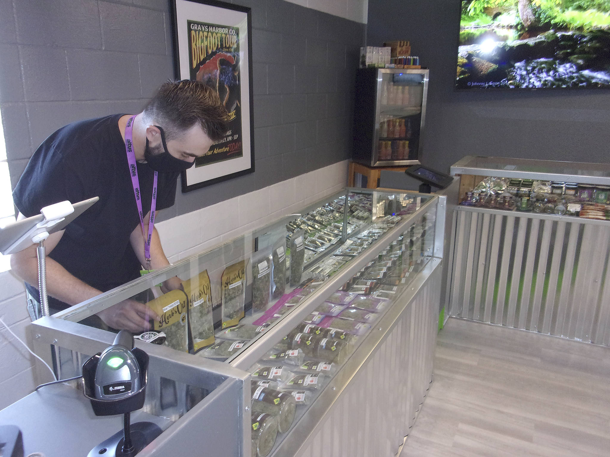 David Haerle/The Daily World 
Cannabis 21 employee Jeremiah Hughes stocks a display case at Cannabis 21’s store in Hoquiam, located at 428 10th St.