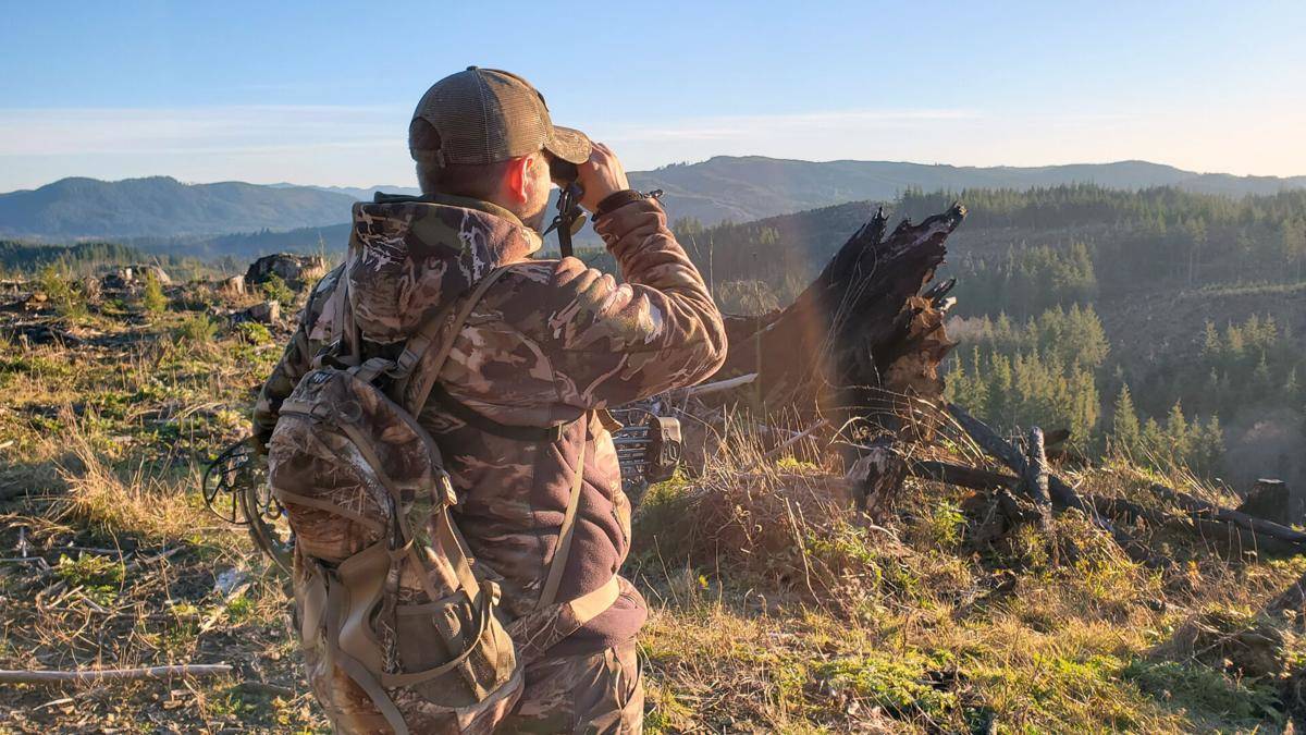 Hunters have one final chance to bag an elk | The Daily World