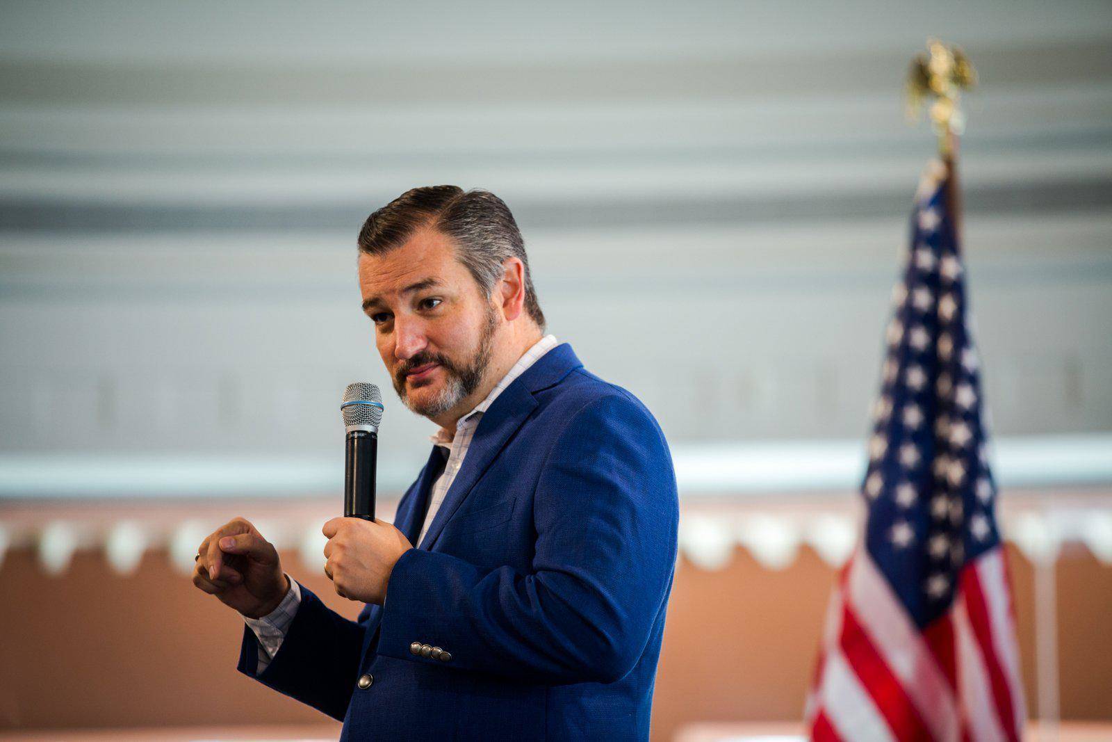 Sen. Ted Cruz, R-Texas. (Eli Imadali/American-Statesman)