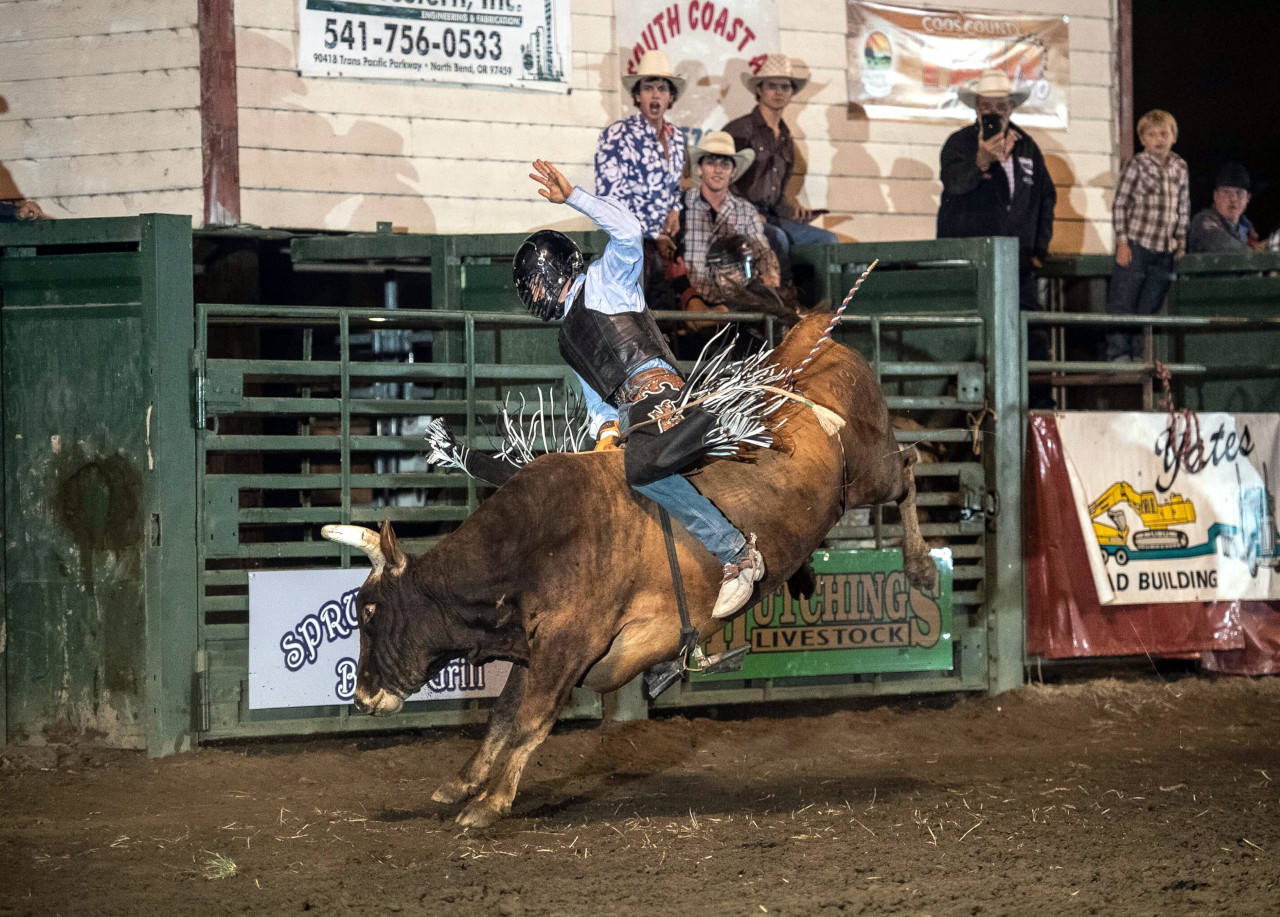 Local bullrider wins, on cusp of pro circuit | The Daily World