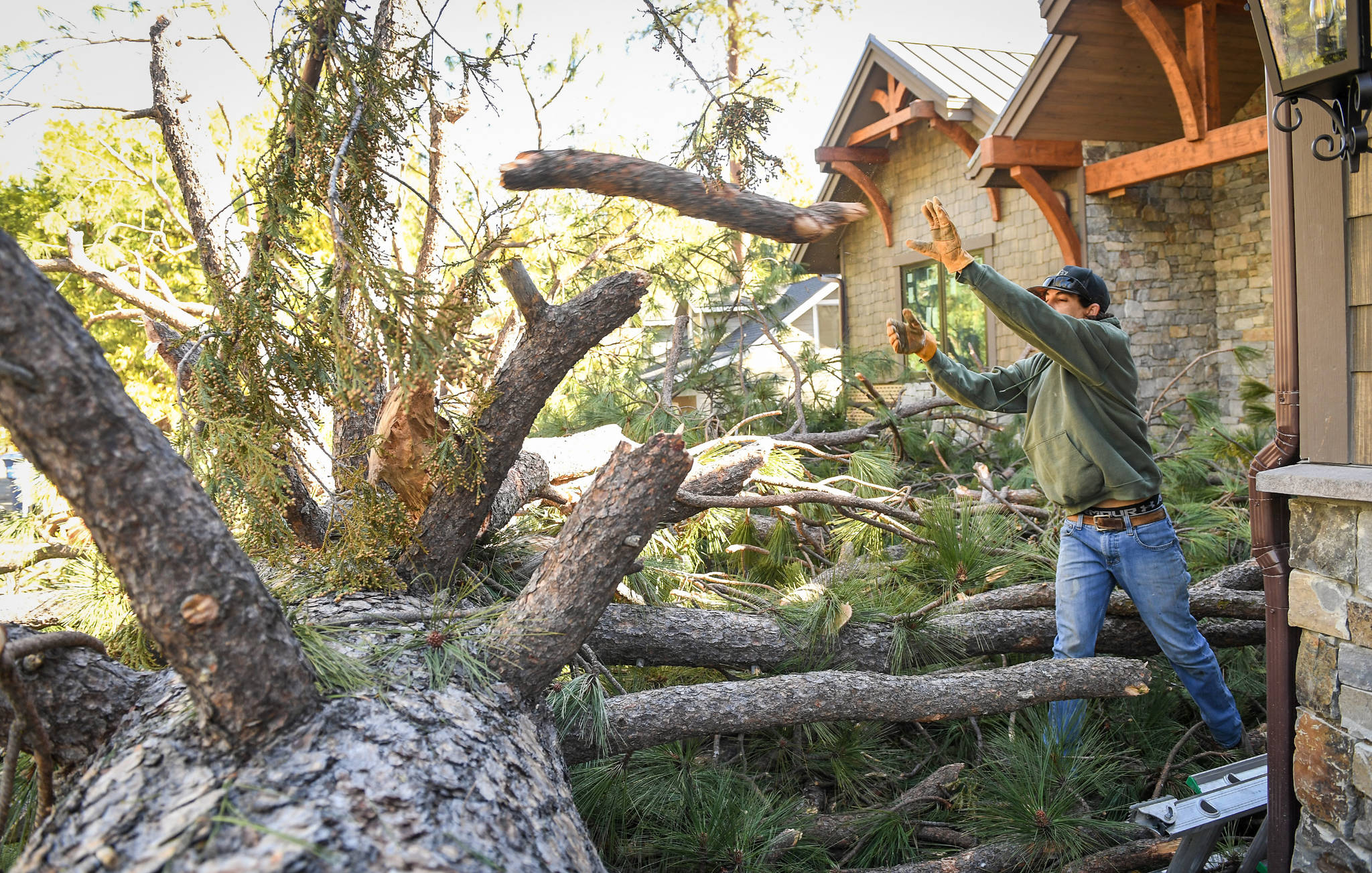 Craid Kohlruss/The Fresno Bee 
Contactor Tyler Papike helps clear a fallen ponderosa tree in front of a home he was working on in California’s Bass Lake area after strong winds rip through the area overnight on January 19, 2021.