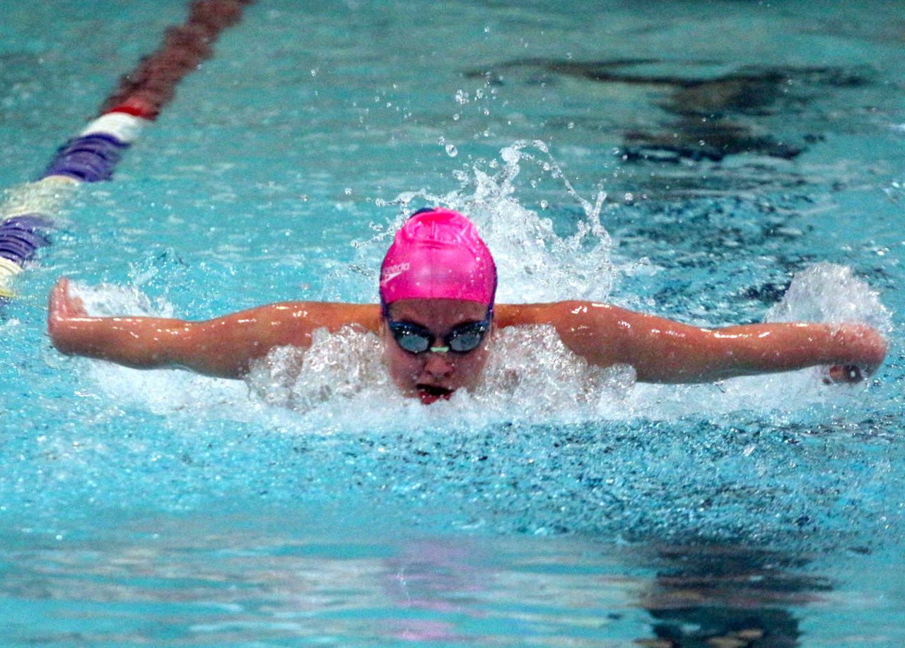 Aberdeen’s Anna Weber swims to a first-place finish in the 100-yard butterfly race against Shelton on Wednesday at the Grays Harbor YMCA in Hoquiam. (Ryan Sparks | The Daily World)