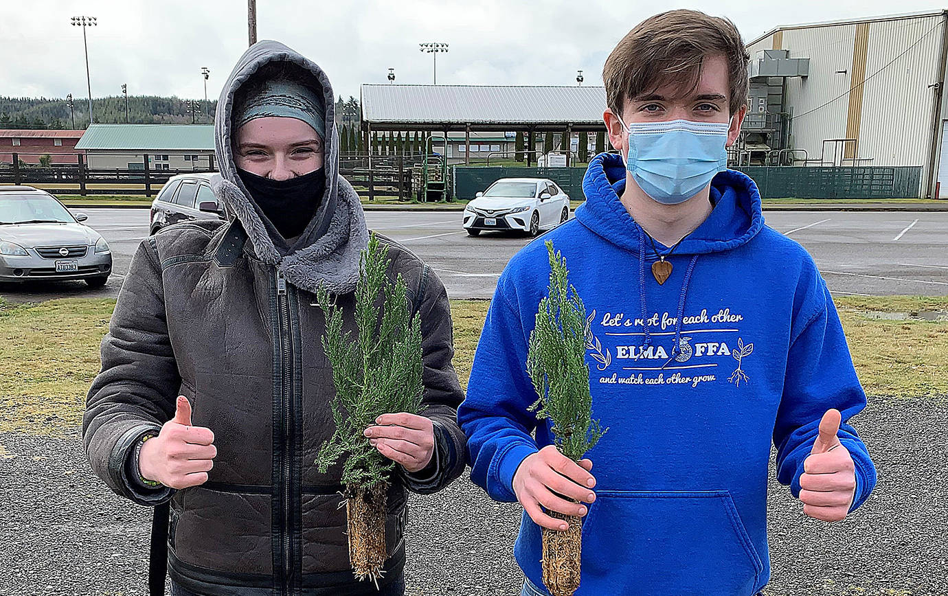 TYLER RENZ / ELMA FFA ADVISOR 
Elma FFA members Taylor Kershaw, left, and Sam Gillis hold two of the 1,700 giant sequoia and California redwood trees given away to 111 people at the Elma Fairgrounds March 20 and 21.