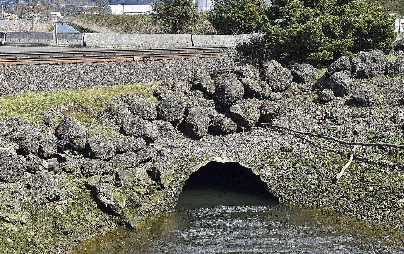 The culvert at the 28th Street boat launch where Fry Creek dumps into Grays Harbor. 	DAN HAMMOCK | THE DAILY WORLD