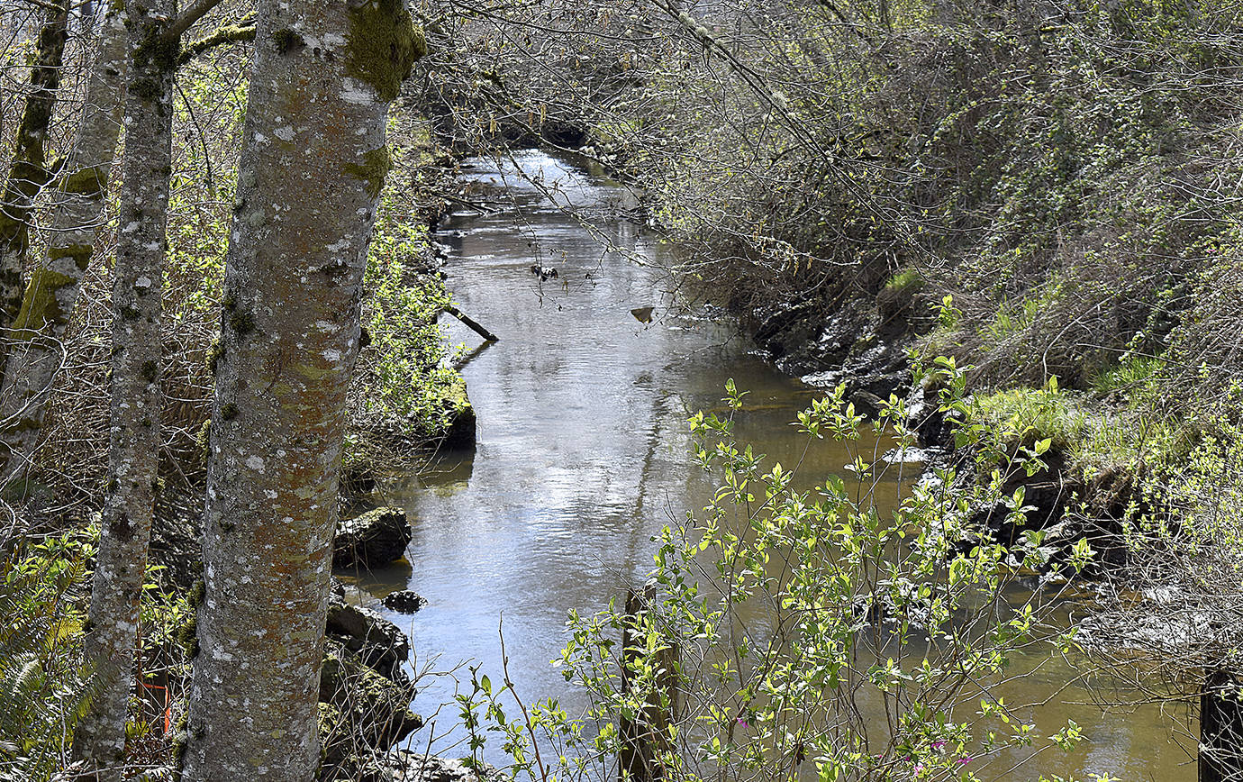 DAN HAMMOCK | THE DAILY WORLD
As plans continue for Fry Creek restoration, a new and improved pump station for the flood-prone creek between Aberdeen and Hoquiam could be constructed soon if $14 million in state capital budget funds survives final negotiations in the Legislature.