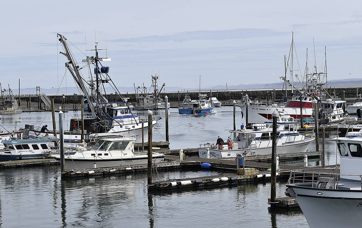 DAN HAMMOCK / THE DAILY WORLD 
Westport charter boats, many of which have been getting limits of lingcod and rockfish when the weather allows, are booking salmon trips for the upcoming season, set to begin June 19.