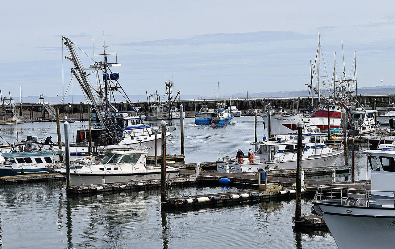 DAN HAMMOCK / THE DAILY WORLD 
Westport charter boats, many of which have been getting limits of lingcod and rockfish when the weather allows, are booking salmon trips for the upcoming season, set to begin June 19.