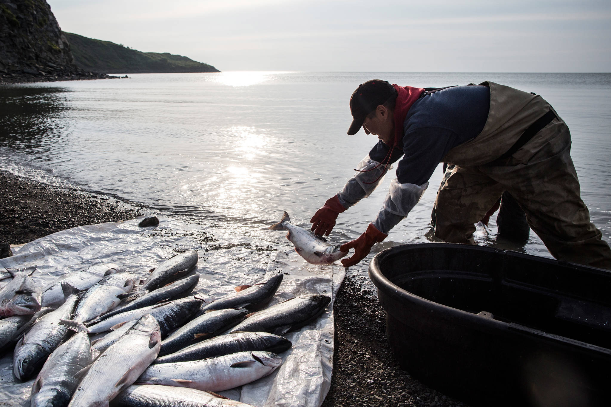Andrew Burton/Getty Images 
In this 2015 image, Joseph John Jr. washes freshly caught salmon in Newtok, Alaska.