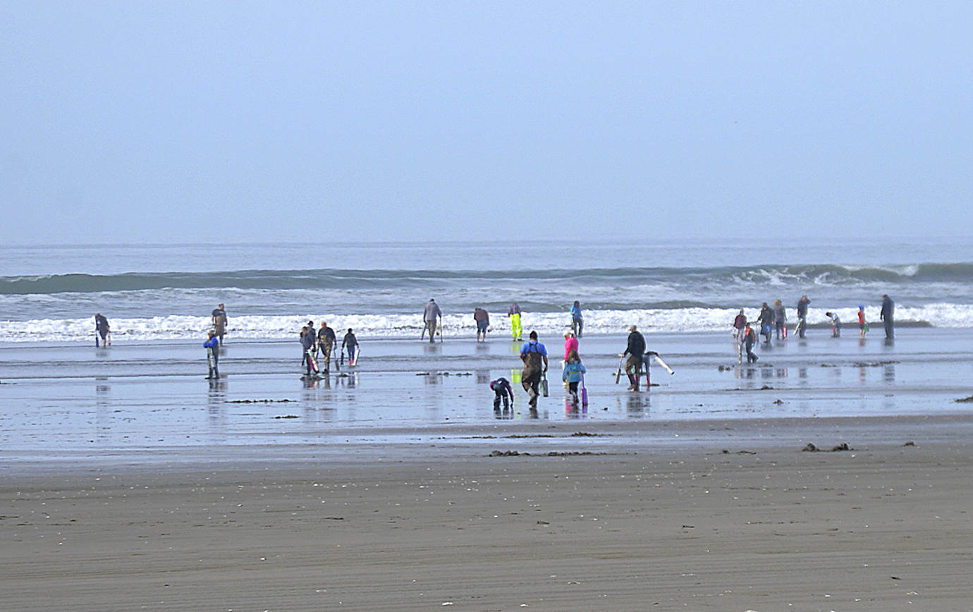 DAN HAMMOCK | THE DAILY WORLD 
Expect heavy traffic this holiday weekend on State Route 109, especially Friday and Sunday mornings with the final two razor clam digs of the season at Mocrocks Beach.