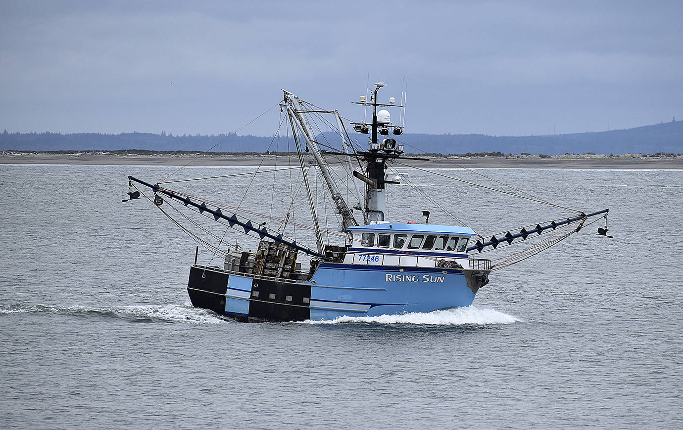 DAN HAMMOCK | THE DAILY WORLD
The commercial seiner Rising Sun heads into the Westport Marina on May 17.