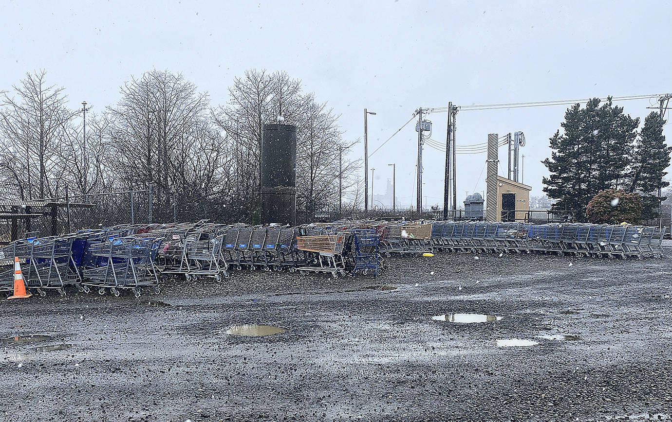 Shopping carts collected by the Aberdeen Public Works Department are taken to the wastewater treatment plant. City Code Enforcement contacts the shops that own the carts, who are expected to pick them up. (Courtesy Kellie Daniels)