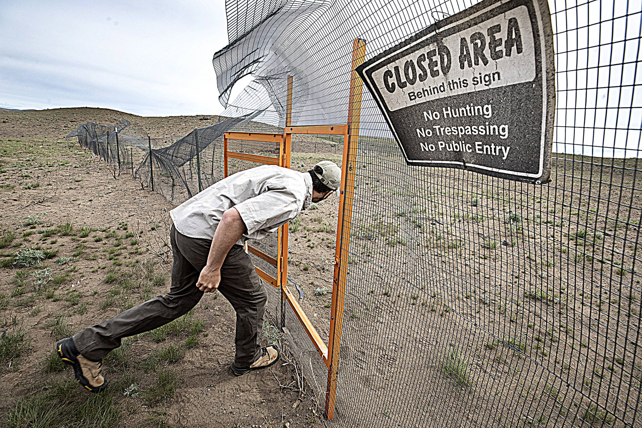 photos by Steve Ringman | The Seattle Times 
Jon Gallie, pygmy rabbit biologist for the Washington Department of Fish and Wildlife, enters a rabbit breeding enclosure in April that was destroyed along with all the rabbits in a 2020 wildfire in the Sagebrush Flat Wildlife Area in Douglas County, setting back the breeding program for years.