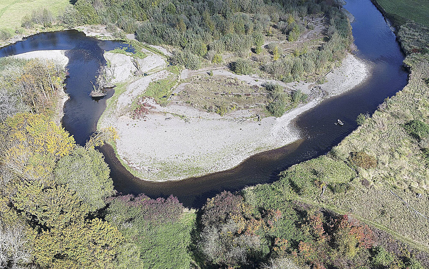 Courtesy Department of Fish and Wildlife 
View of the Satsop River from above.