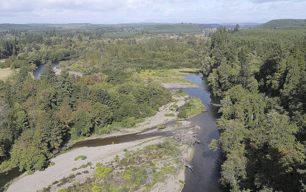 Construction begins this month to restore aquatic habitat in Satsop and