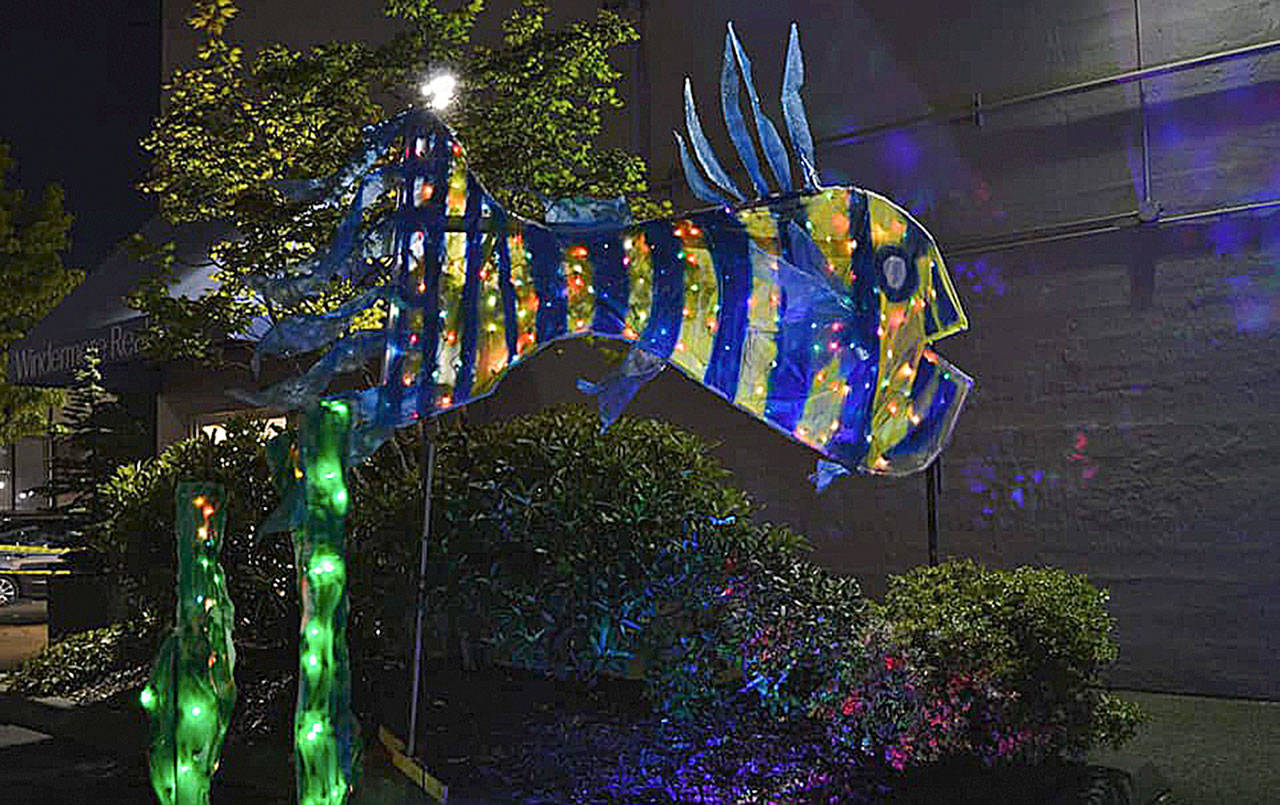 Courtesy Aberdeen Rain Glow Festival 
One of the colorful displays at the 2019 Aberdeen Rain Glow Festival, which drew more than 1,500 to downtown Aberdeen.