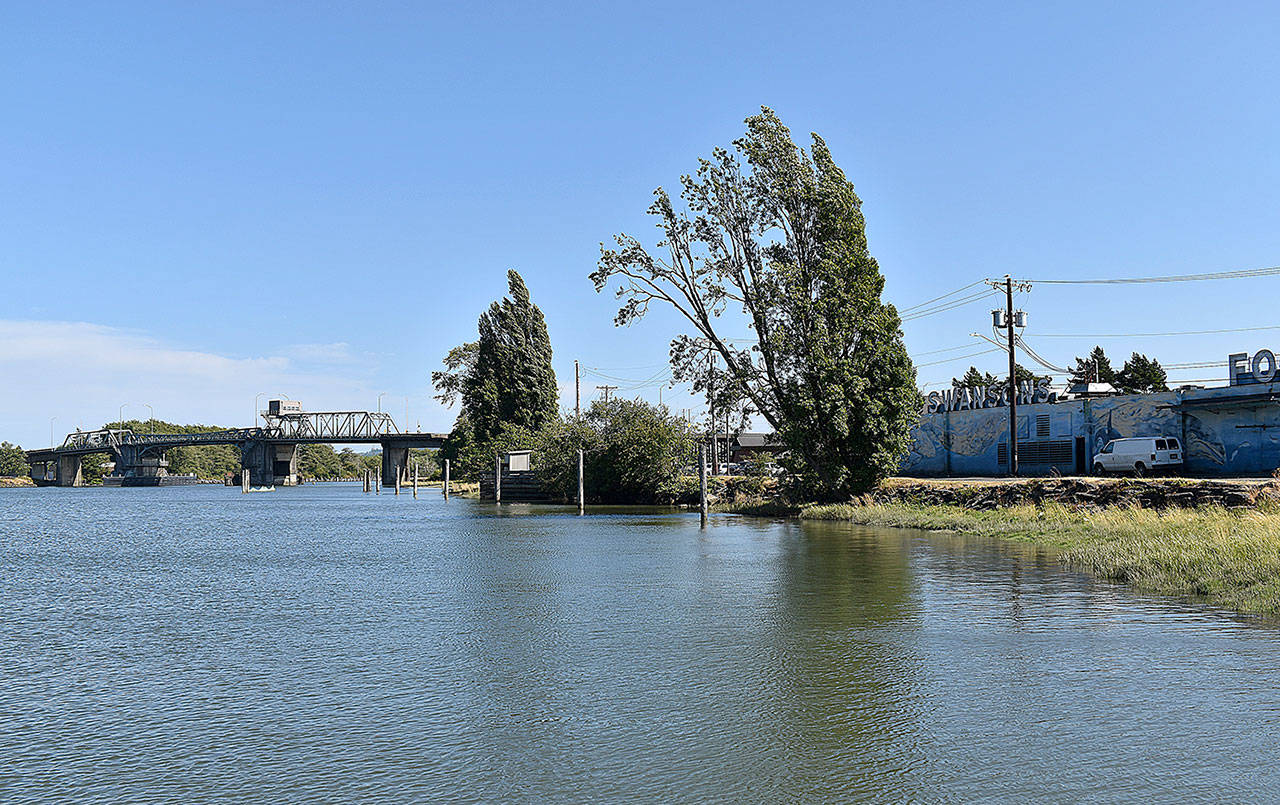 DAN HAMMOCK | THE DAILY WORLD 
The North Shore Levee—West Segment would follow the west bank of the Hoquiam River from the north city limits south to the Simpson Avenue Bridge before winding west and then north to State Route 109.