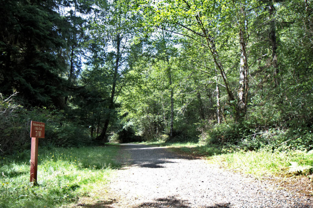 Proposed disc golf course at Cosmopolis’ Makarenko Park moving forward