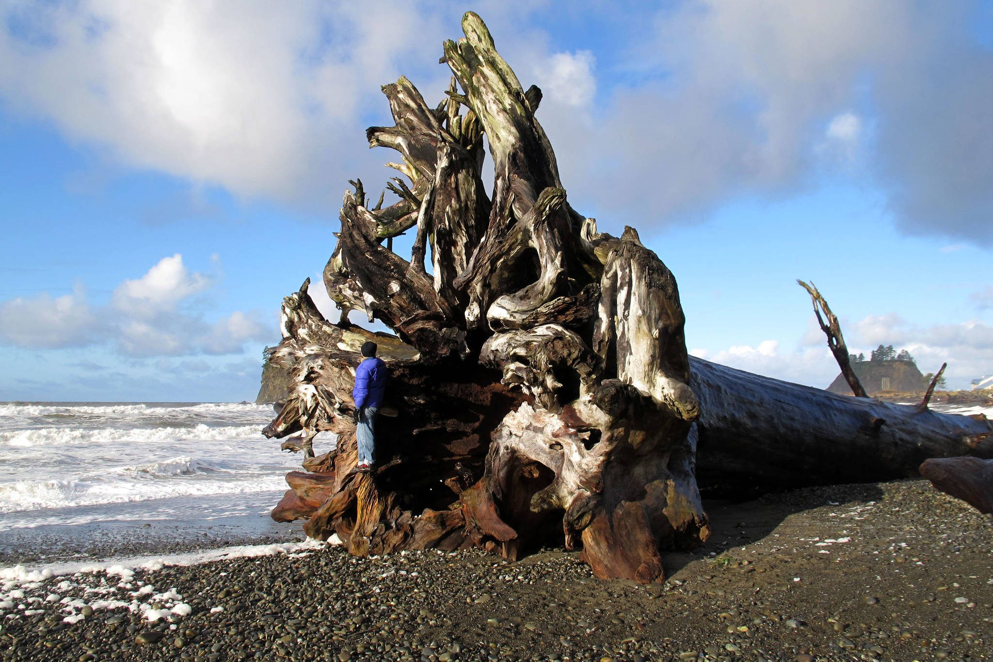 After a storm, the sun sometimes emerges at First Beach in La Push, on Washington's Olympic Peninsula, where a visitor clambers on massive driftwood. Kristin Jackson | Seattle Times
