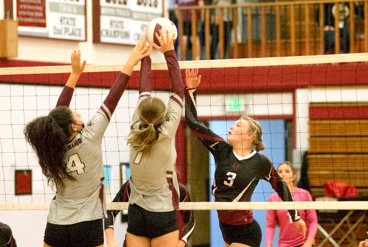 RYAN SPARKS | THE DAILY WORLD The Montesano Bulldogs, left, face the Ocosta Wildcats on Thursday at the Hoquiam Volleyball Jamboree at Hoquiam Square Garden.