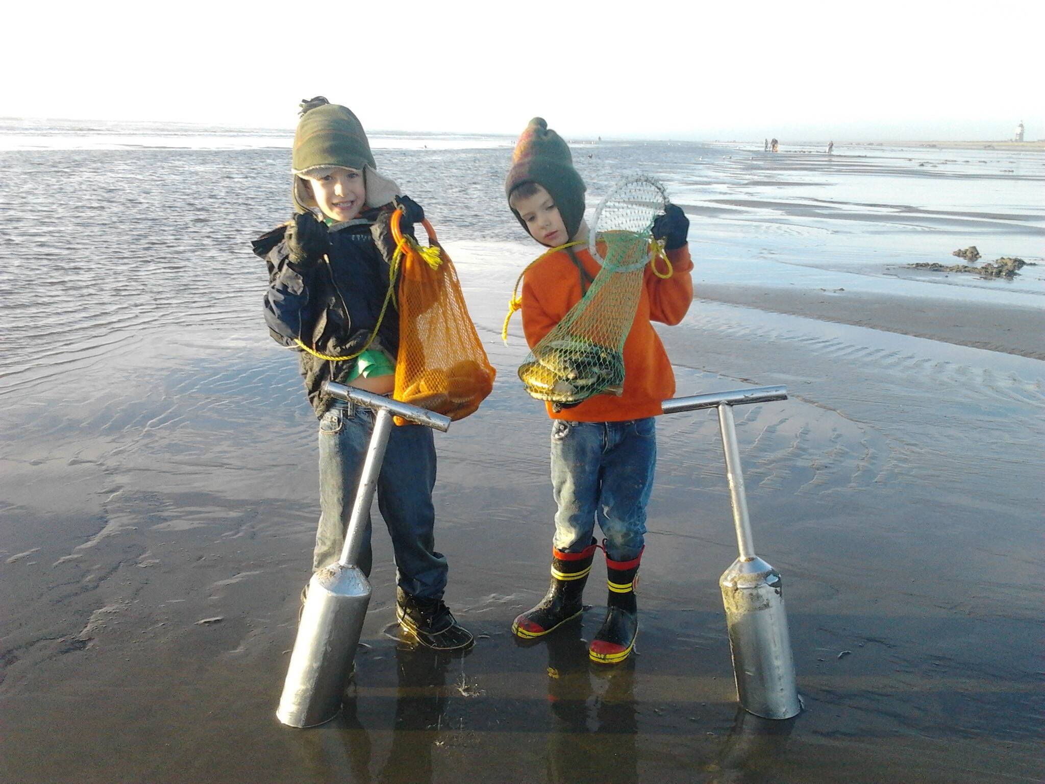 photo by washington department of Fish and Wildlife 
The first nine days of razor clam digs for the 2021-22 season have been approved, starting with an early morning tide at Long Beach, Mocrocks and Twin Harbors beaches on Friday, Sept. 17, 2021.