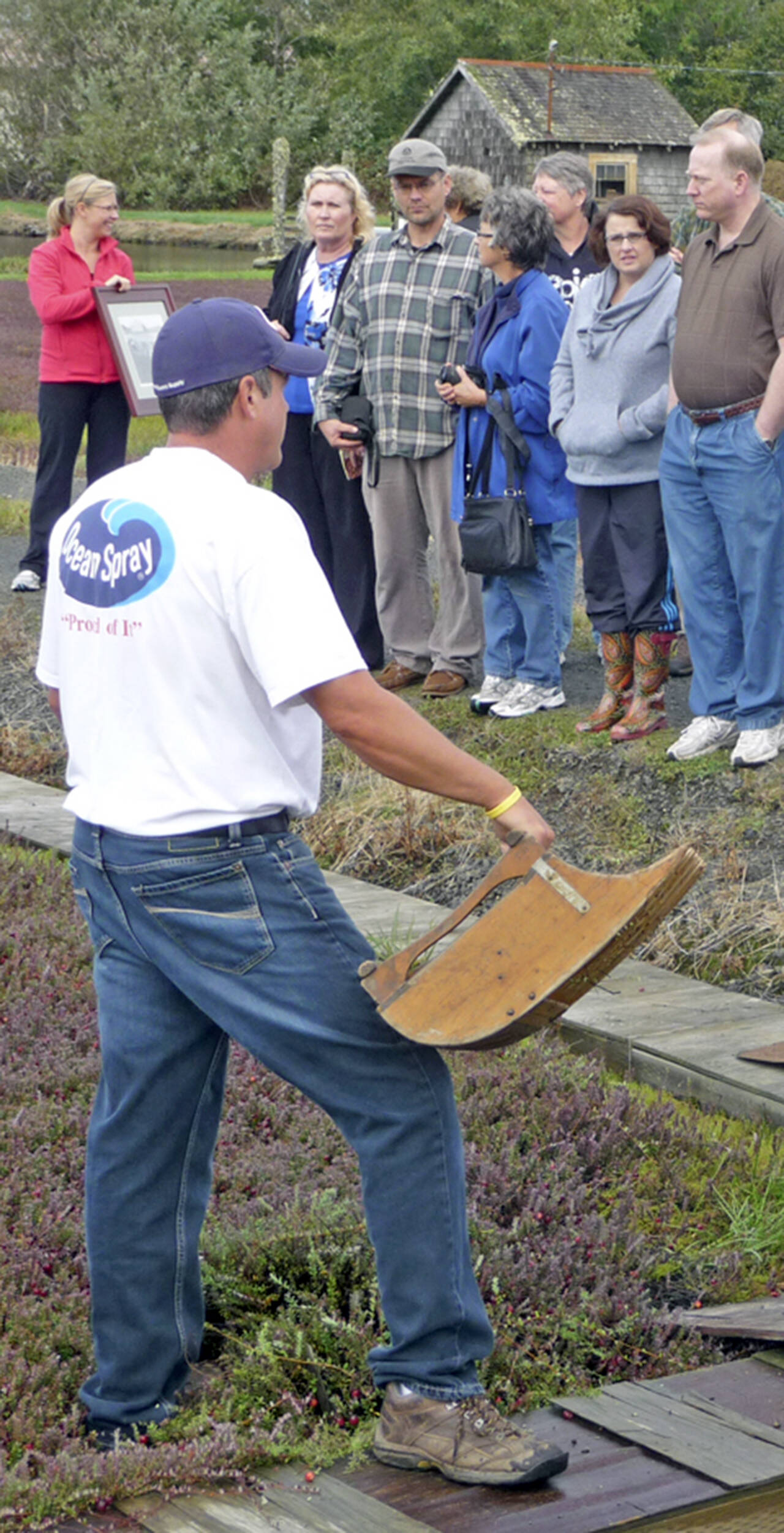 daily world File photo 
Visitors can tour cranberry bogs during the annual Cranberry Harvest Festival Saturday, Oct. 9.