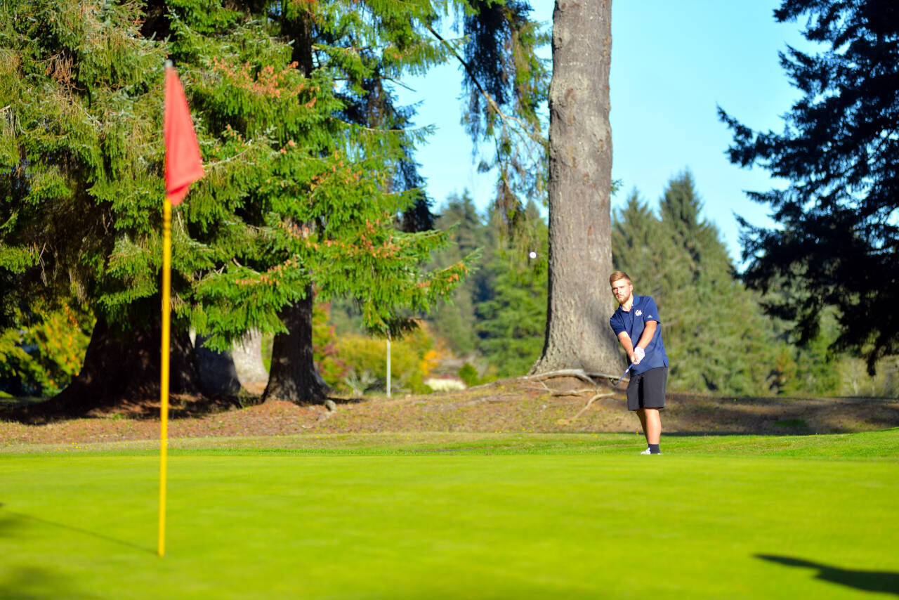 RYAN SPARKS | THE DAILY WORLD Aberdeen’s Logan Seguin chips on to the green during Thursday’s match against Hoquiam at Grays Harbor Country Club. Seguin led all scorers with 28 points.