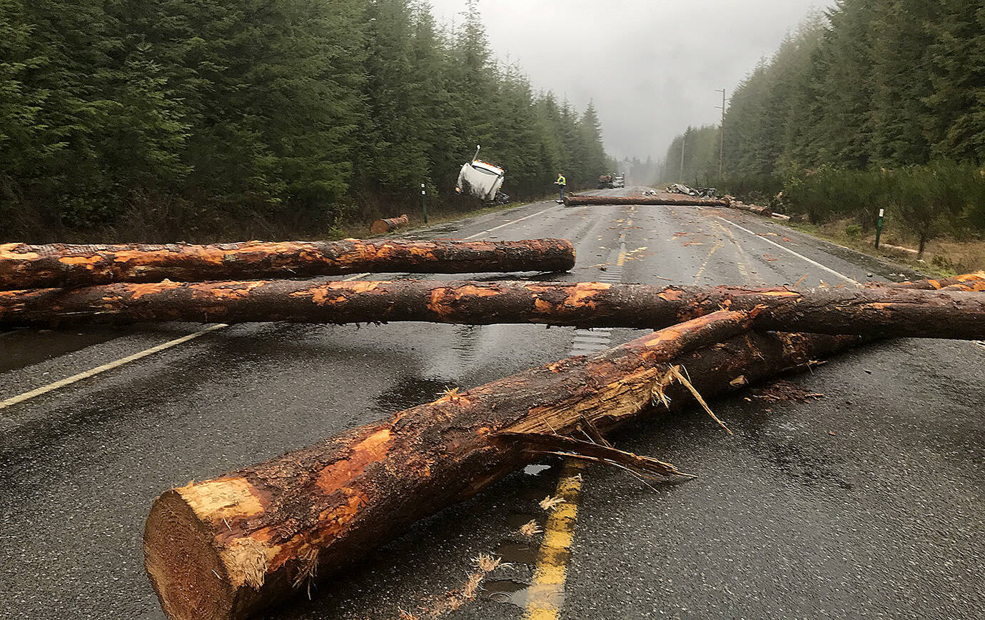 The scene of a log truck/SUV collision on Highway 101 just north of Humptulips that killed three people in the SUV Wednesday morning. (Courtesy photo)