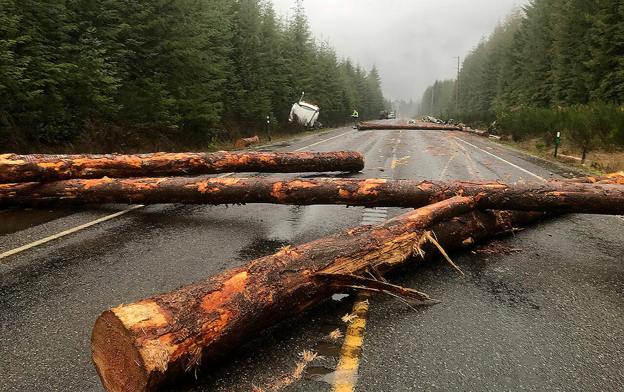 The scene of a log truck/SUV collision on Highway 101 just north of Humptulips that killed three people in the SUV Wednesday morning. (Courtesy photo)