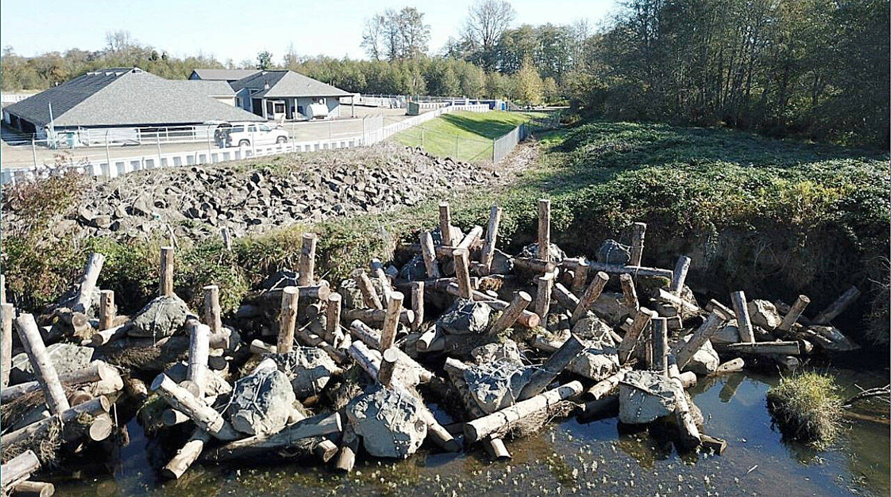 Courtesy of Chehalis Basin Strategy
Log jacks protect the Montesano wastewater treatment plant from erosion along the bank of the Wynoochee River.