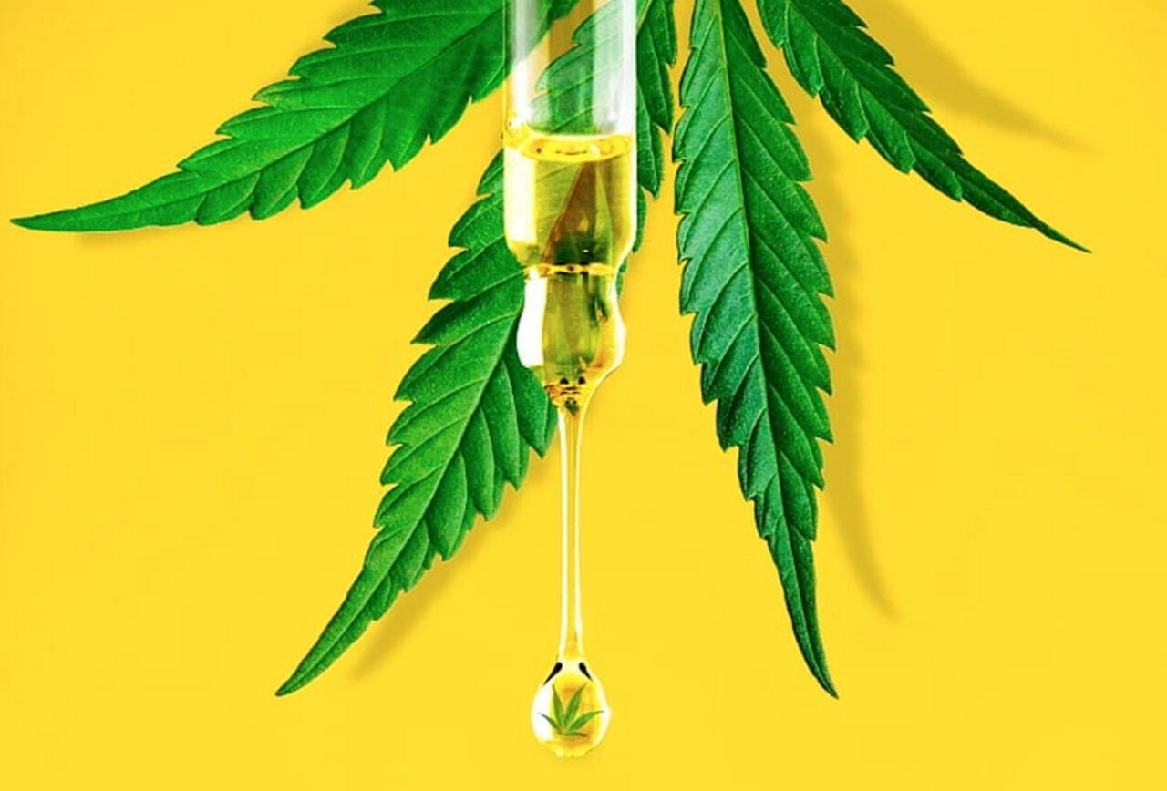 Discover the best CBD oil brands in the UK