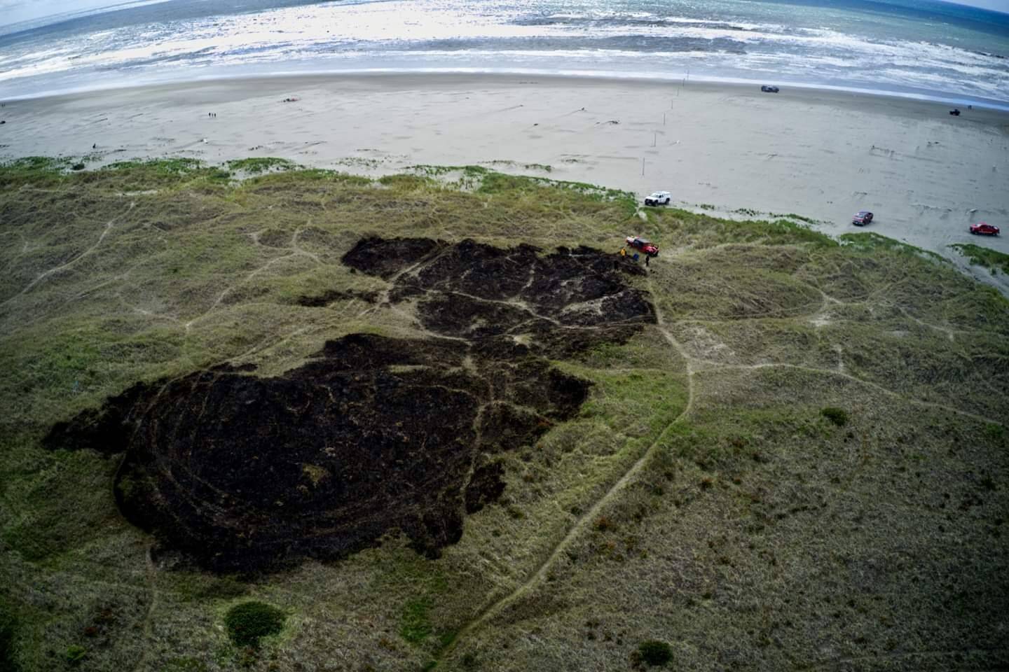 Flammable vegetation in the Pacific Dunes poses a threat to nearby residential properties and hotels. Photo courtesy of Ocean Shores Fire Department