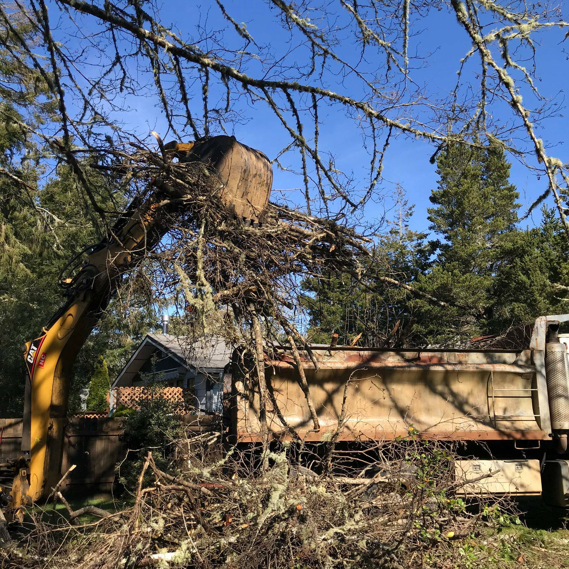 The Ocean Shores Fresh Waterways Corporation, which is comprised of volunteers, cleared debris several miles south of the Oyehut Ditch following a freeze storm in Feb. 2021. Photo courtesy of Steve Borba