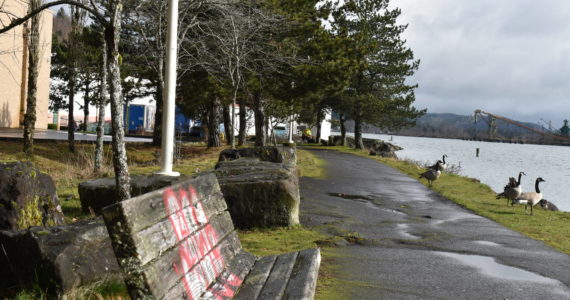 A graffitied bench, which sits alongside the East Aberdeen Waterfront Walkway facing the Chehalis River, falls victim to the increased instances of vandalism in the Aberdeen Landing area.