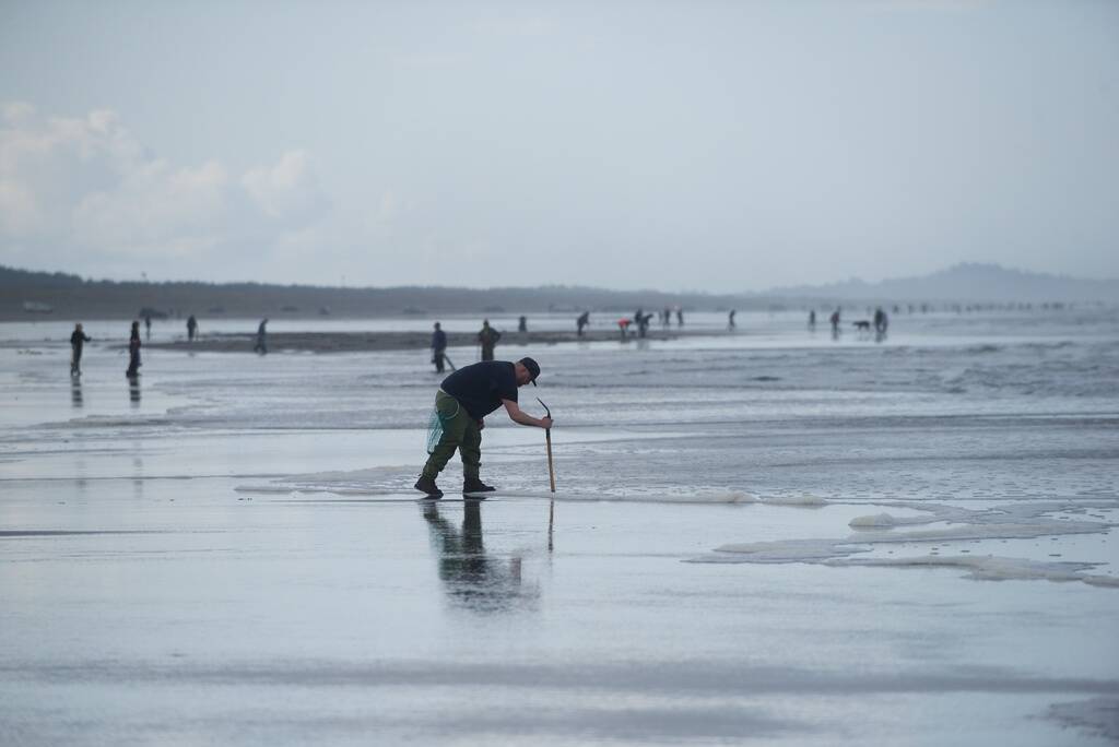The next round of razor clam digging in Grays Harbor County and Pacific County will take place as planned from March 16 through March 22. TNS | FILE PHOTO