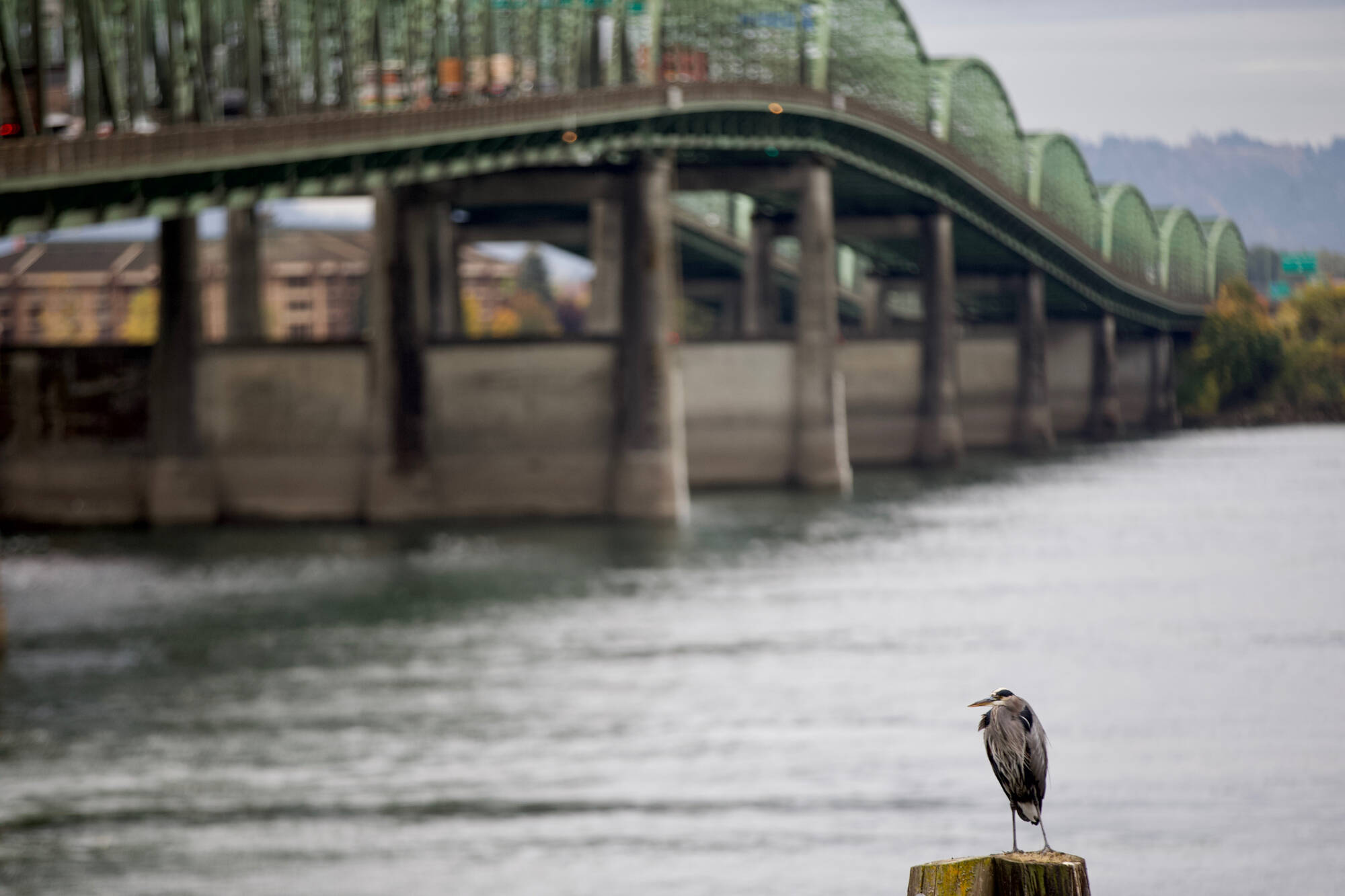 An up-close look at the Interstate 5 bridge Wednesday, Oct. 25, 2018, from the Washington side. Mark Graves | The Oregonian | TNS | File Photo