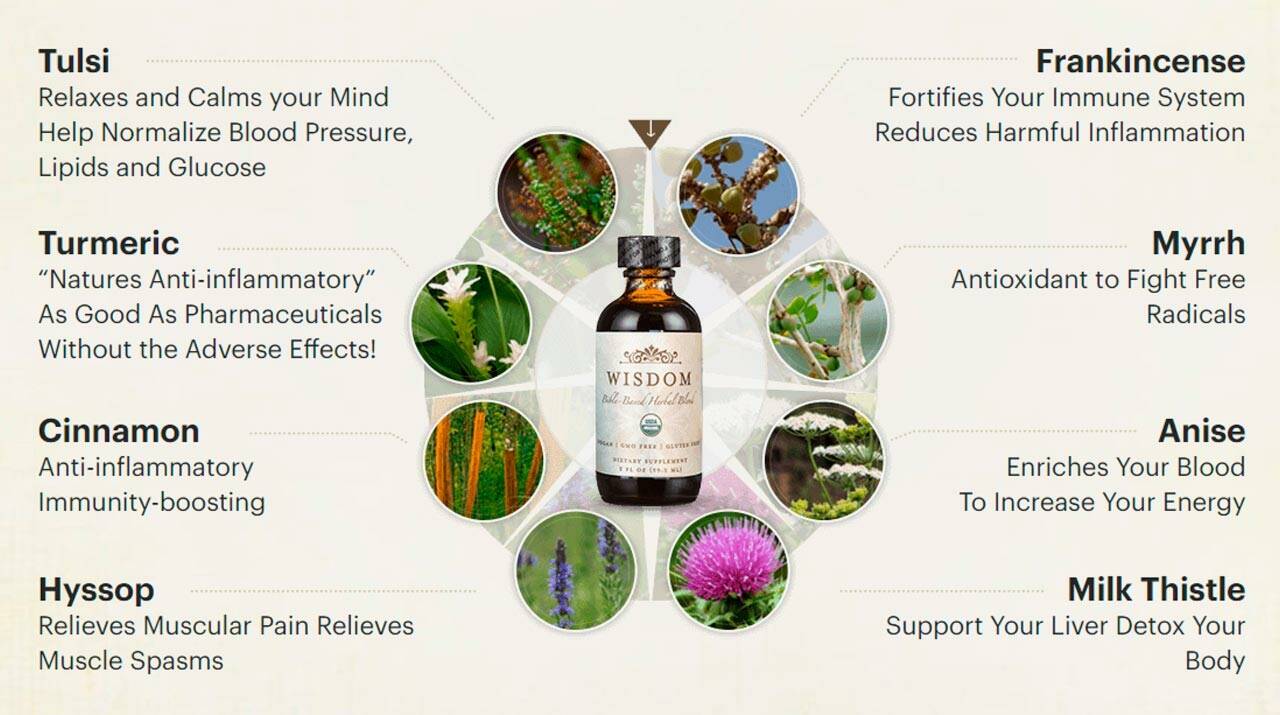 Wisdom BibleBased Herbal Supplement Reviews Is It Legit? The Daily