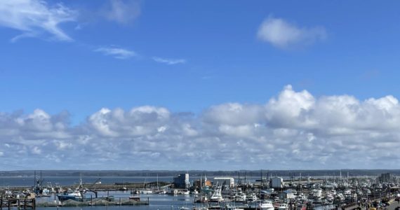 Michael S. Lockett | The Daily World
A healthy year for coho salmon is predicted for 2022, as fish start returning to Grays Harbor in late September and early October to spawn. The Westport Marina is shown above.
