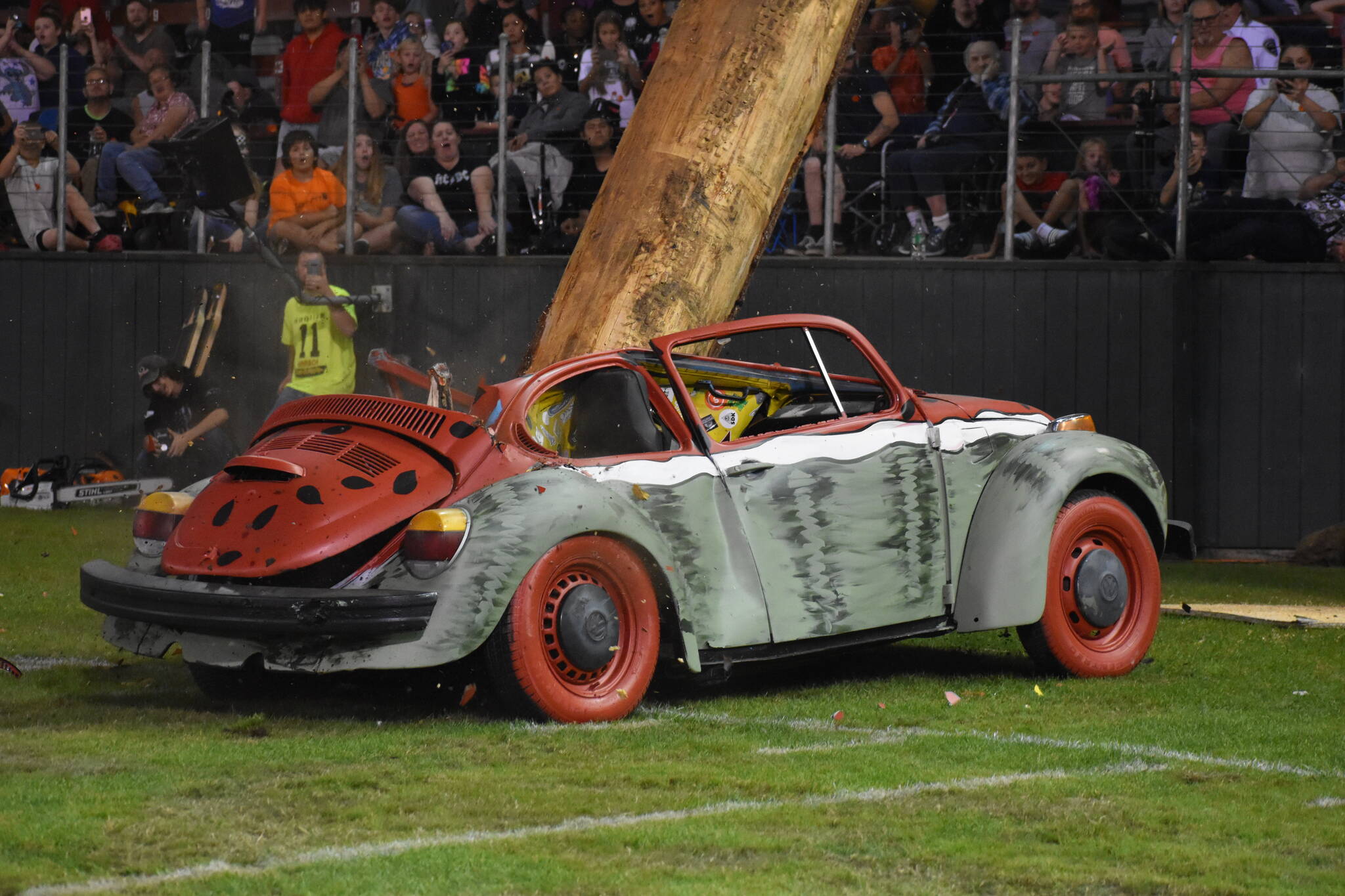 Thousands of people were reminded of the destruction a massive timber log can do to a car as Ed “Mooch” Smith expertly cut into a Douglas fir from inside Olympic Stadium in Hoquiam. Smith’s precision cuts resulted in the piece of timber falling squarely through the hood of an old Volkswagen Beetle, which was painted to look like a watermelon.